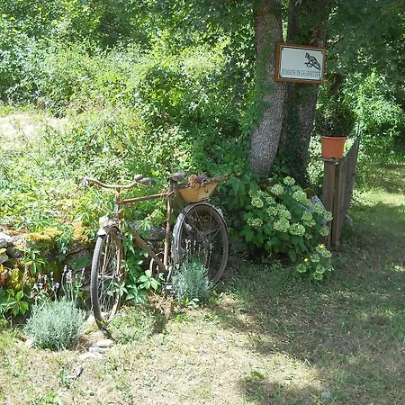 Hébergement de vacances Le Domaine De La Genette Paussac-et-Saint-Vivien